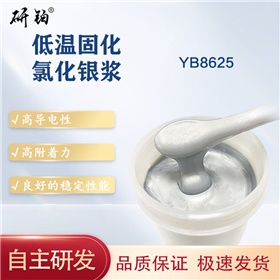 Low temperature curing silver chloride paste